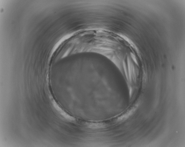 X0000081390941200701252101