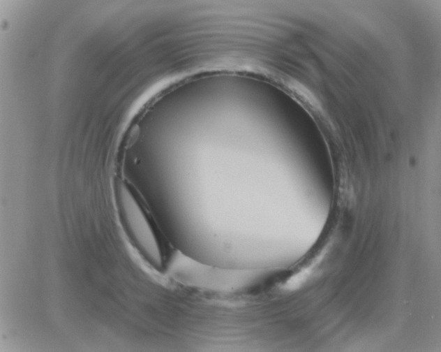 X0000081390942200701252101