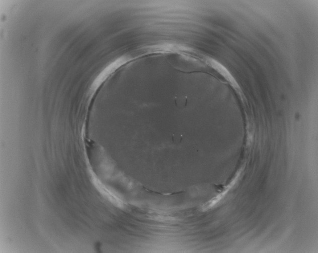 X0000081390946200701252101