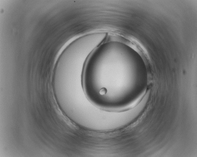 X0000081390948200701252101