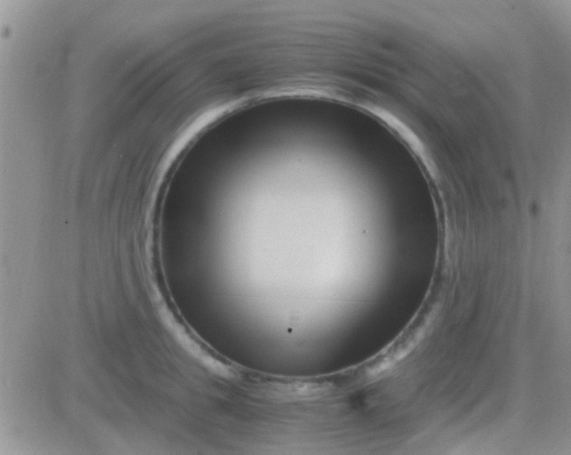 X0000081390949200701252101