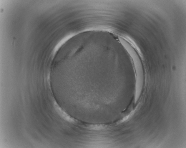 X0000081390952200701252101