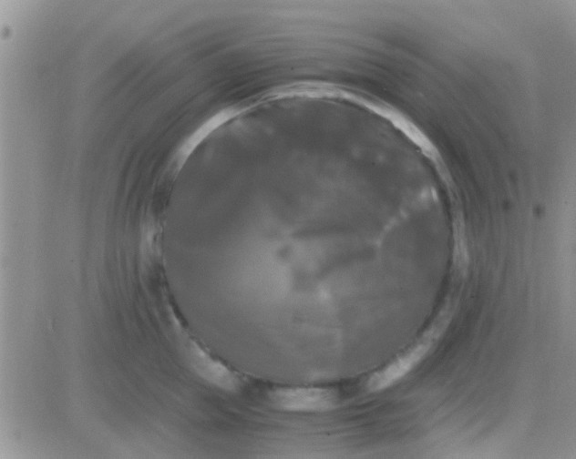 X0000081390953200701252101