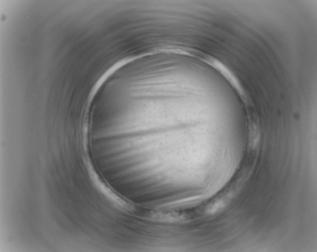 X0000081390955200701252101