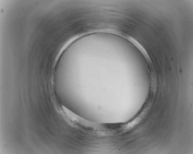 X0000081390956200701252101