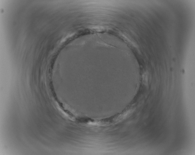 X0000081390961200701252100