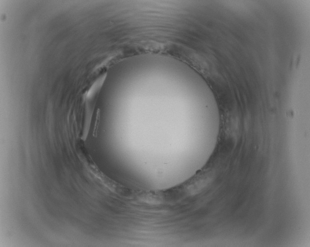 X0000081390962200701252100