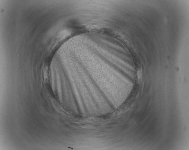 X0000081390963200701252100