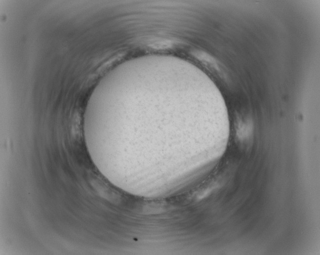 X0000081390964200701252100