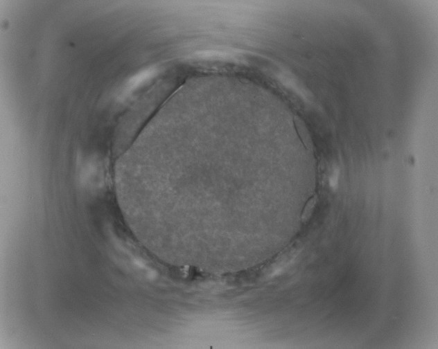 X0000081390965200701252100