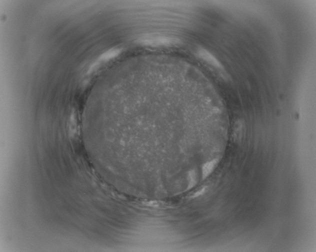 X0000081390966200701252100