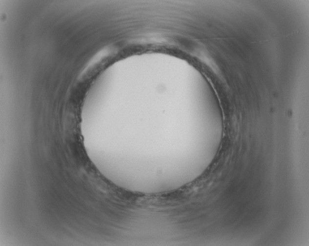 X0000081390967200701252100