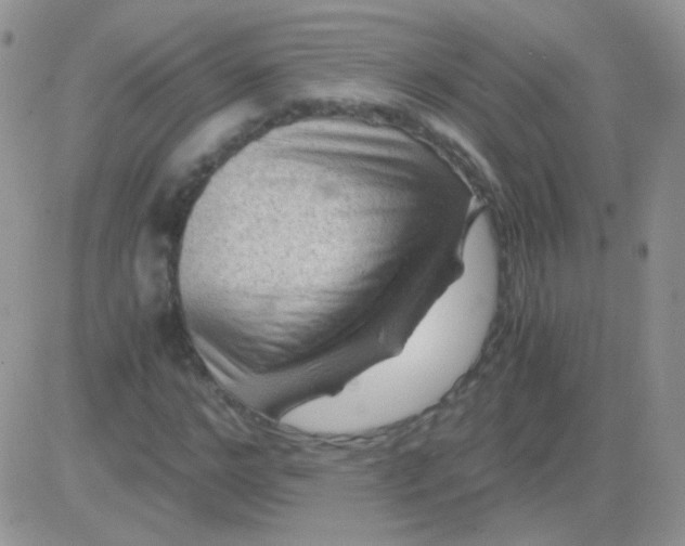 X0000081390968200701252100