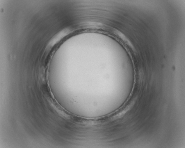 X0000081390970200701252100