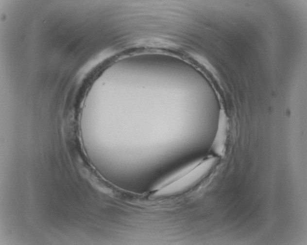 X0000081390971200701252100