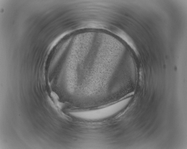 X0000081390972200701252100