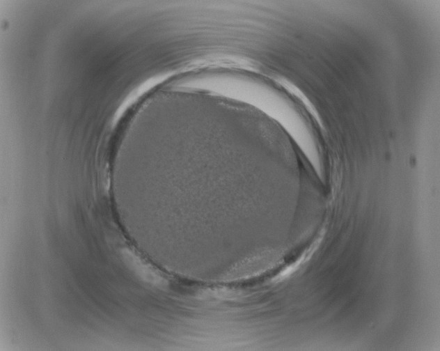 X0000081390973200701252100