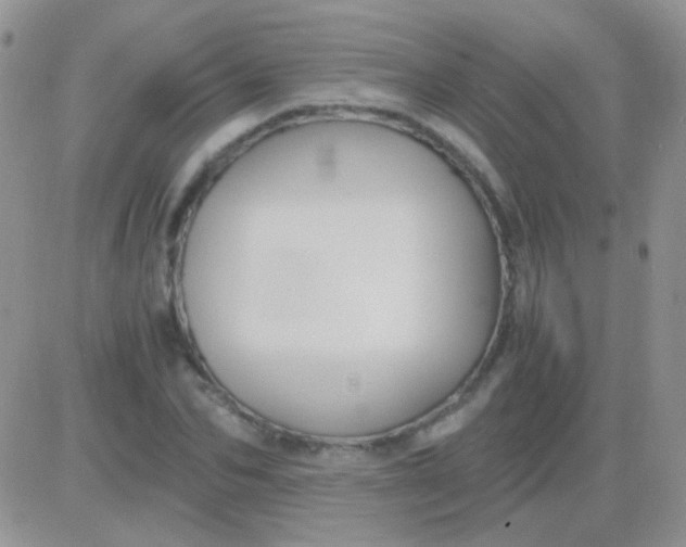 X0000081390974200701252100