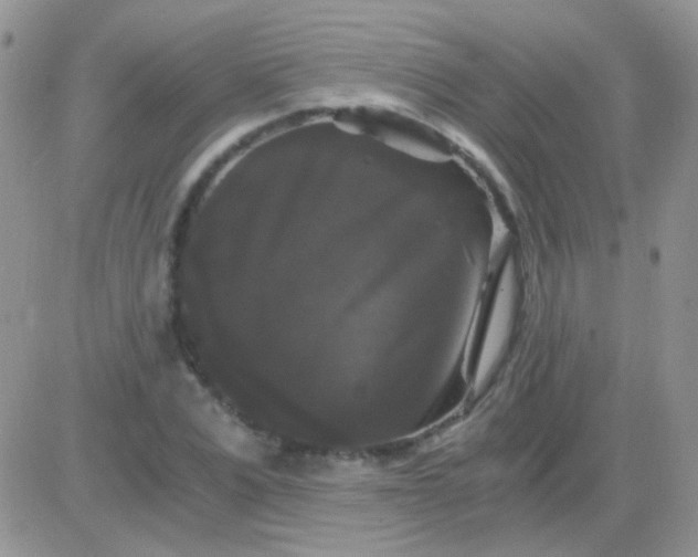 X0000081390975200701252100