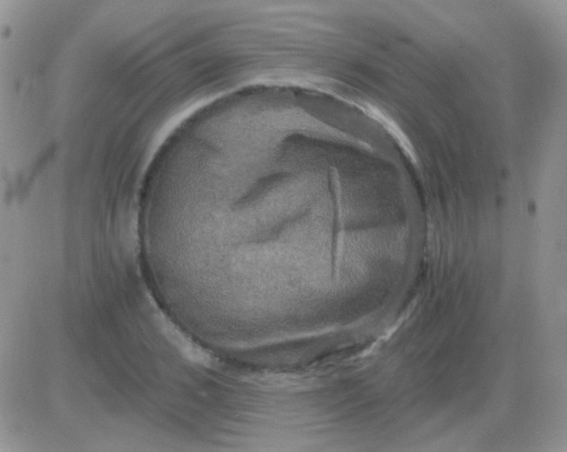 X0000081390976200701252100