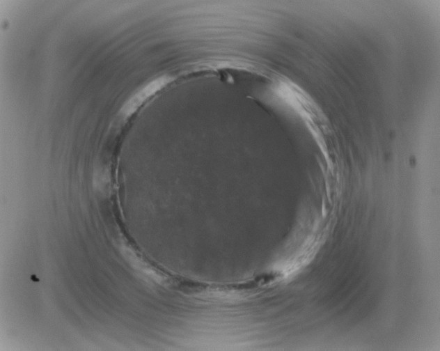 X0000081390977200701252100