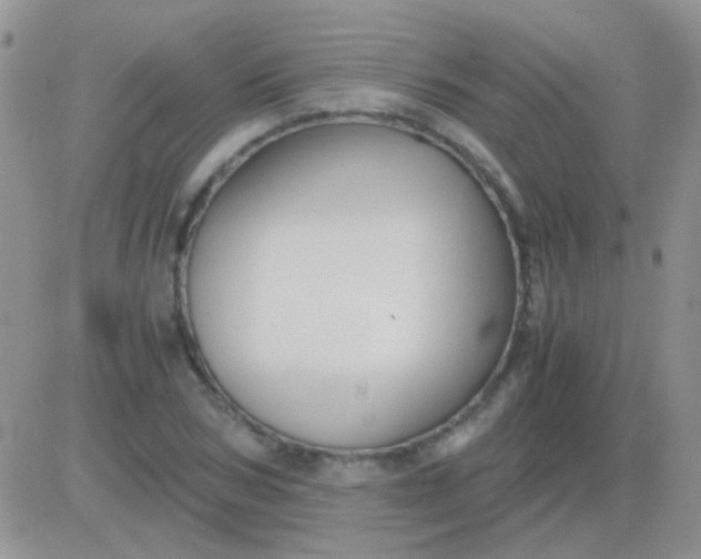 X0000081390978200701252100