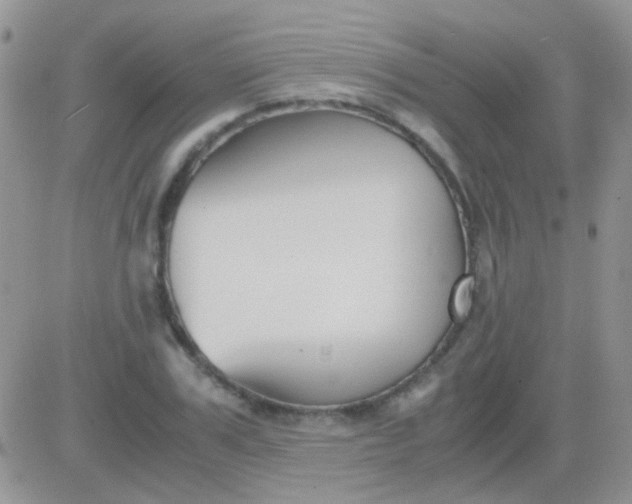 X0000081390979200701252100