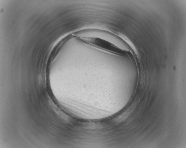 X0000081390980200701252100