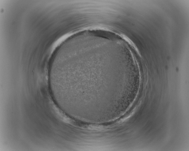 X0000081390981200701252100