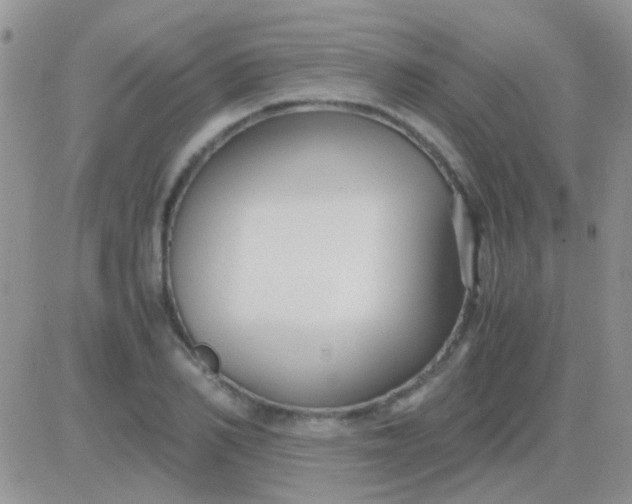 X0000081390982200701252100