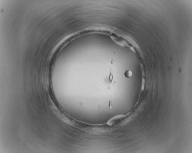 X0000081390984200701252100