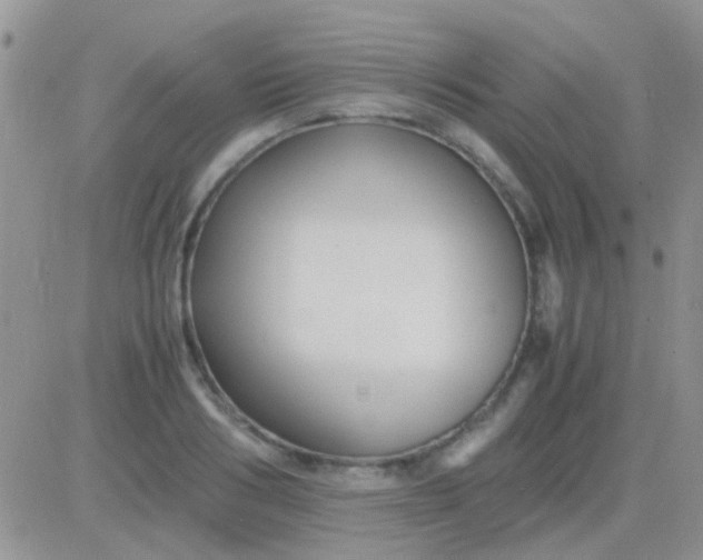 X0000081390986200701252100