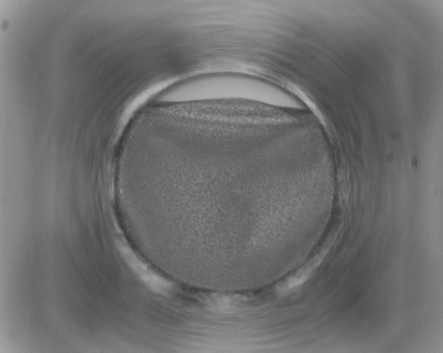 X0000081390987200701252100