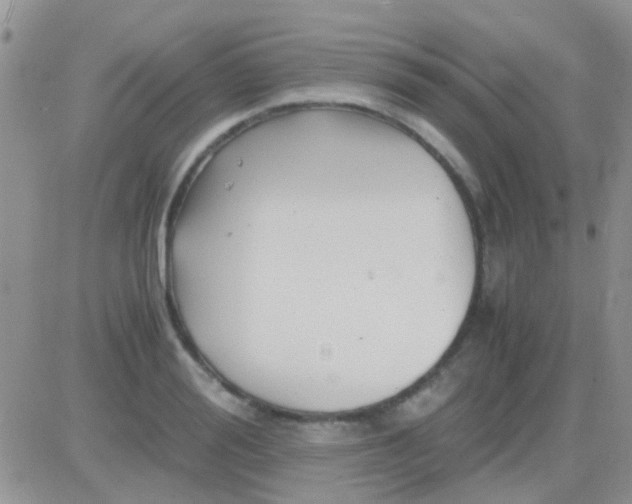 X0000081390988200701252100