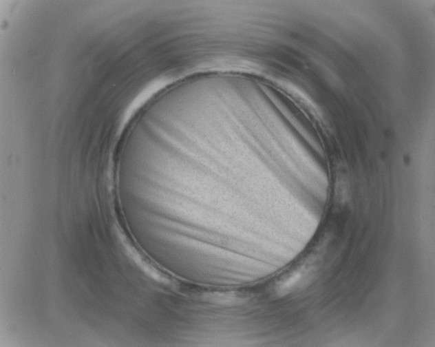 X0000081390990200701252100