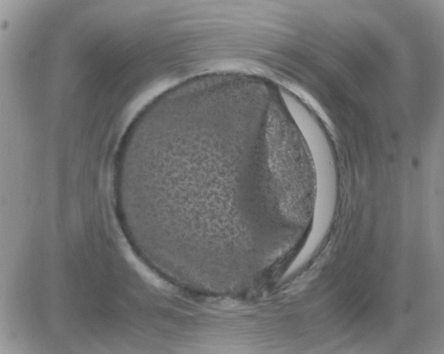 X0000081390991200701252100