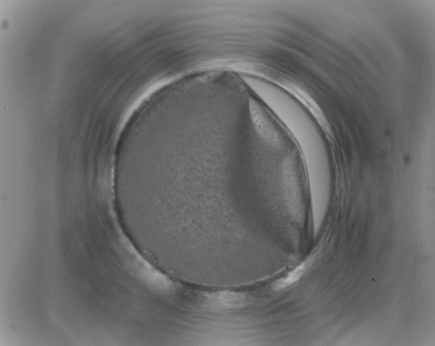 X0000081390992200701252100