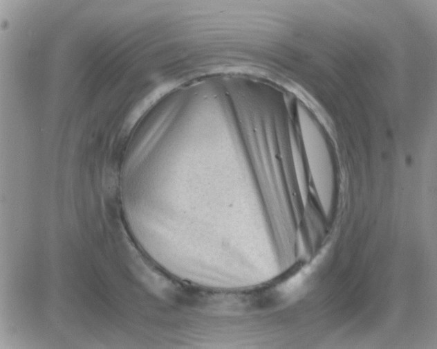 X0000081390993200701252100