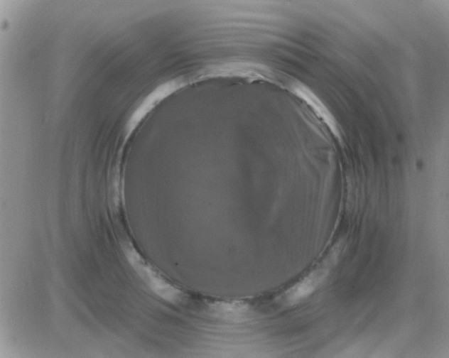 X0000081390994200701252100