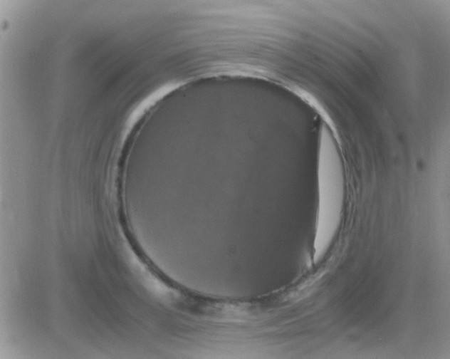 X0000081390995200701252100