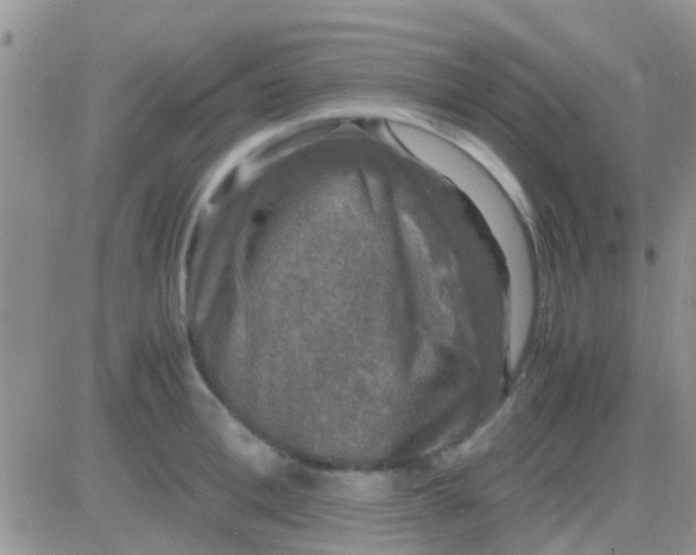 X0000081390996200701252059