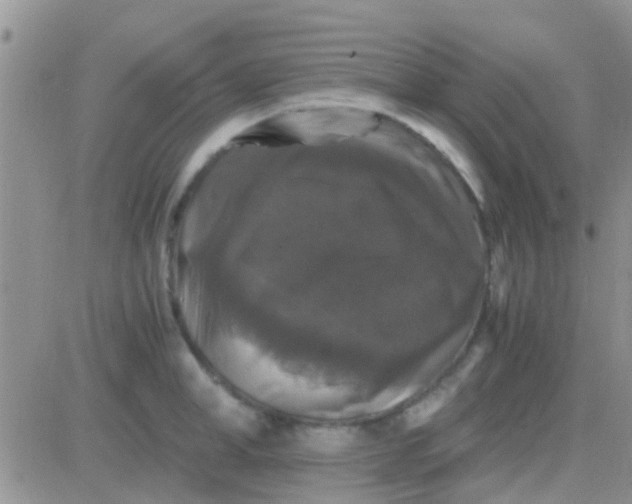 X0000081390998200701252059