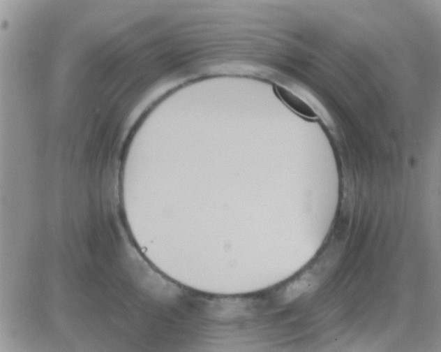 X0000081391000200701252059