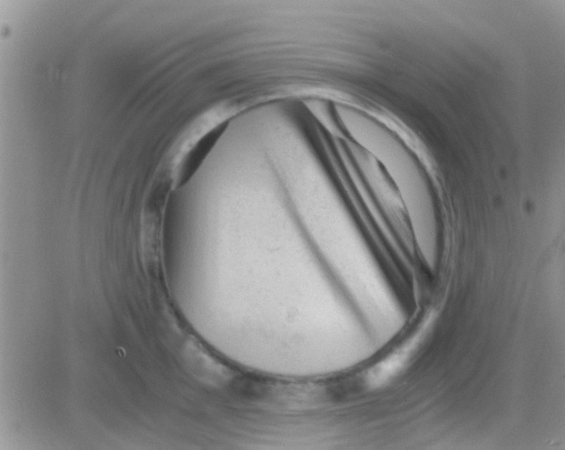 X0000081391001200701252059