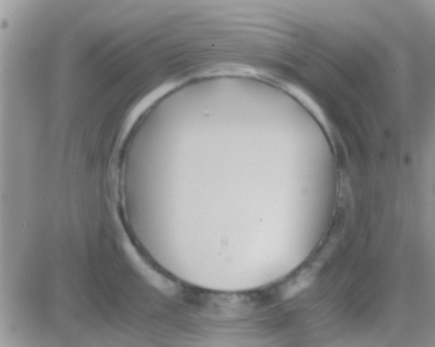 X0000081391003200701252059