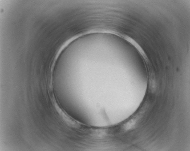 X0000081391004200701252059