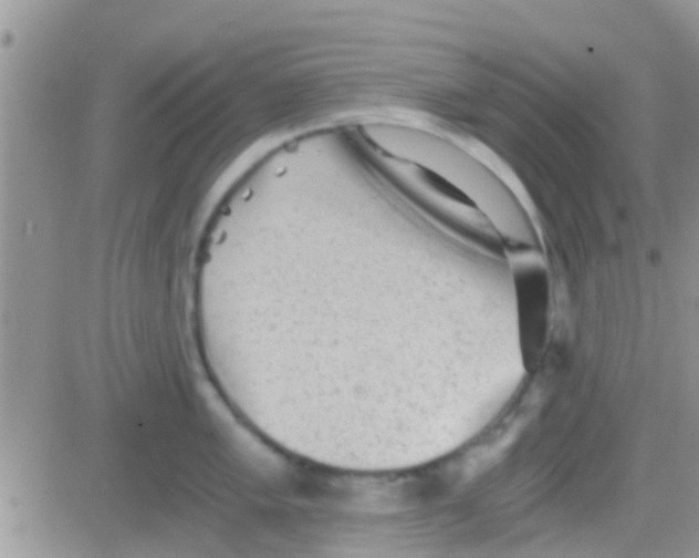 X0000081391005200701252059