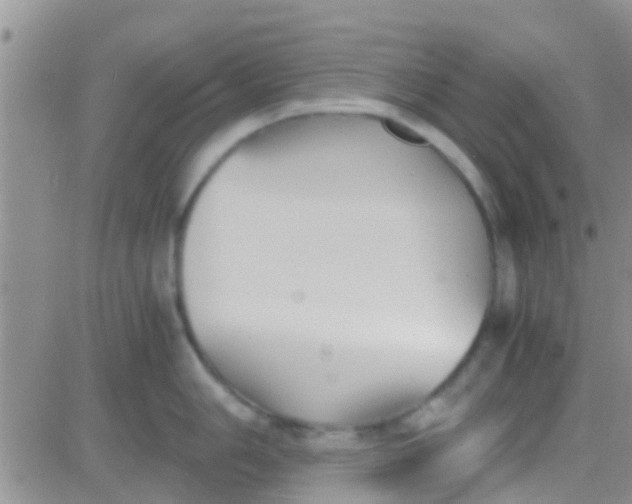 X0000081391006200701252059