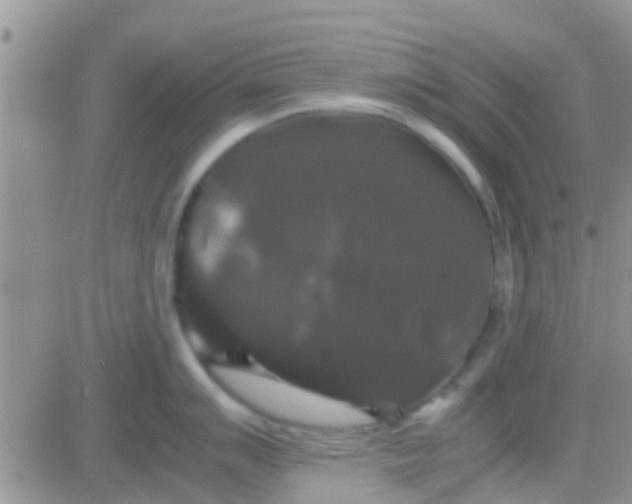 X0000081391007200701252059