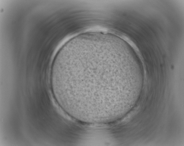 X0000081391008200701252059